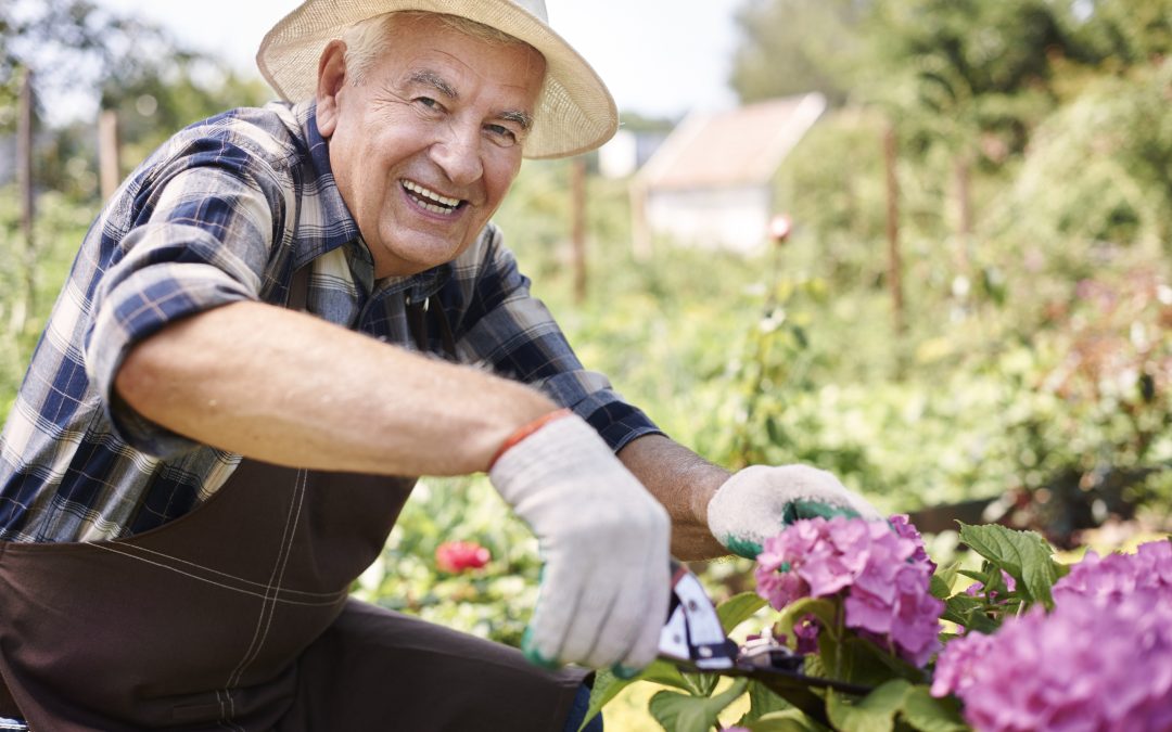 The Benefits of Gardening